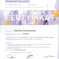 Powiększ obraz: certificate 11