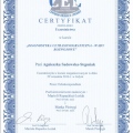 Powiększ obraz: certificate 2