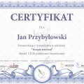 Powiększ obraz: certificate 7