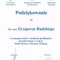 Powiększ obraz: certificate 6