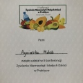 Powiększ obraz: certificate 11