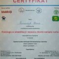 Powiększ obraz: certificate 11