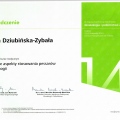 Powiększ obraz: certificate 13