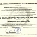 Powiększ obraz: certificate 3