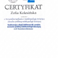 Powiększ obraz: certificate 2
