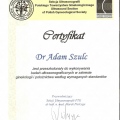 Powiększ obraz: certificate 1