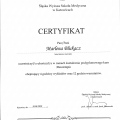 Powiększ obraz: certificate 7