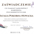 Powiększ obraz: certificate 2