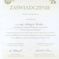 Powiększ obraz: certificate 11
