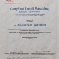 Powiększ obraz: certificate 9