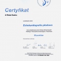 Powiększ obraz: certificate 13