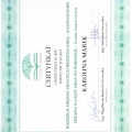 Powiększ obraz: certificate 4