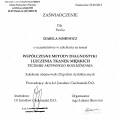 Powiększ obraz: certificate 1