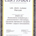 Powiększ obraz: certificate 10