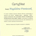 Powiększ obraz: certificate 9