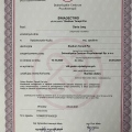 Powiększ obraz: certificate 3