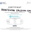 Powiększ obraz: certificate 3