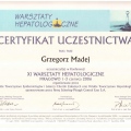 Powiększ obraz: certificate 18