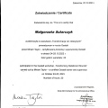 Powiększ obraz: certificate 2