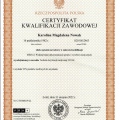 Powiększ obraz: certificate 3