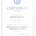 Powiększ obraz: certificate 2