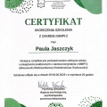 Powiększ obraz: certificate 2