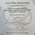 Powiększ obraz: certificate 1
