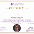 Powiększ obraz: certificate 2