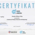 Powiększ obraz: certificate 17