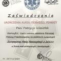 Powiększ obraz: certificate 14