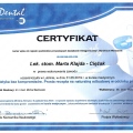Powiększ obraz: certificate 8