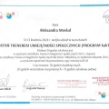 Powiększ obraz: certificate 8