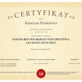 Powiększ obraz: certificate 2