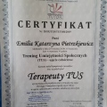 Powiększ obraz: certificate 6