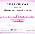 Powiększ obraz: certificate 7