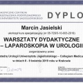 Powiększ obraz: certificate 4
