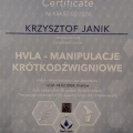 Powiększ obraz: certificate 1