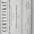 Powiększ obraz: certificate 3
