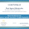 Powiększ obraz: certificate 11