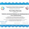 Powiększ obraz: certificate 3