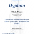 Powiększ obraz: certificate 28