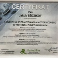 Powiększ obraz: certificate 6