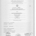 Powiększ obraz: certificate 1