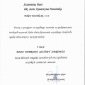 Powiększ obraz: certificate 8