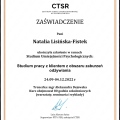 Powiększ obraz: certificate 13