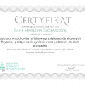 Powiększ obraz: certificate 10