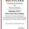 Powiększ obraz: certificate 1