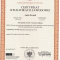 Powiększ obraz: certificate 3