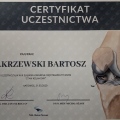 Powiększ obraz: certificate 12