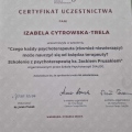 Powiększ obraz: certificate 8